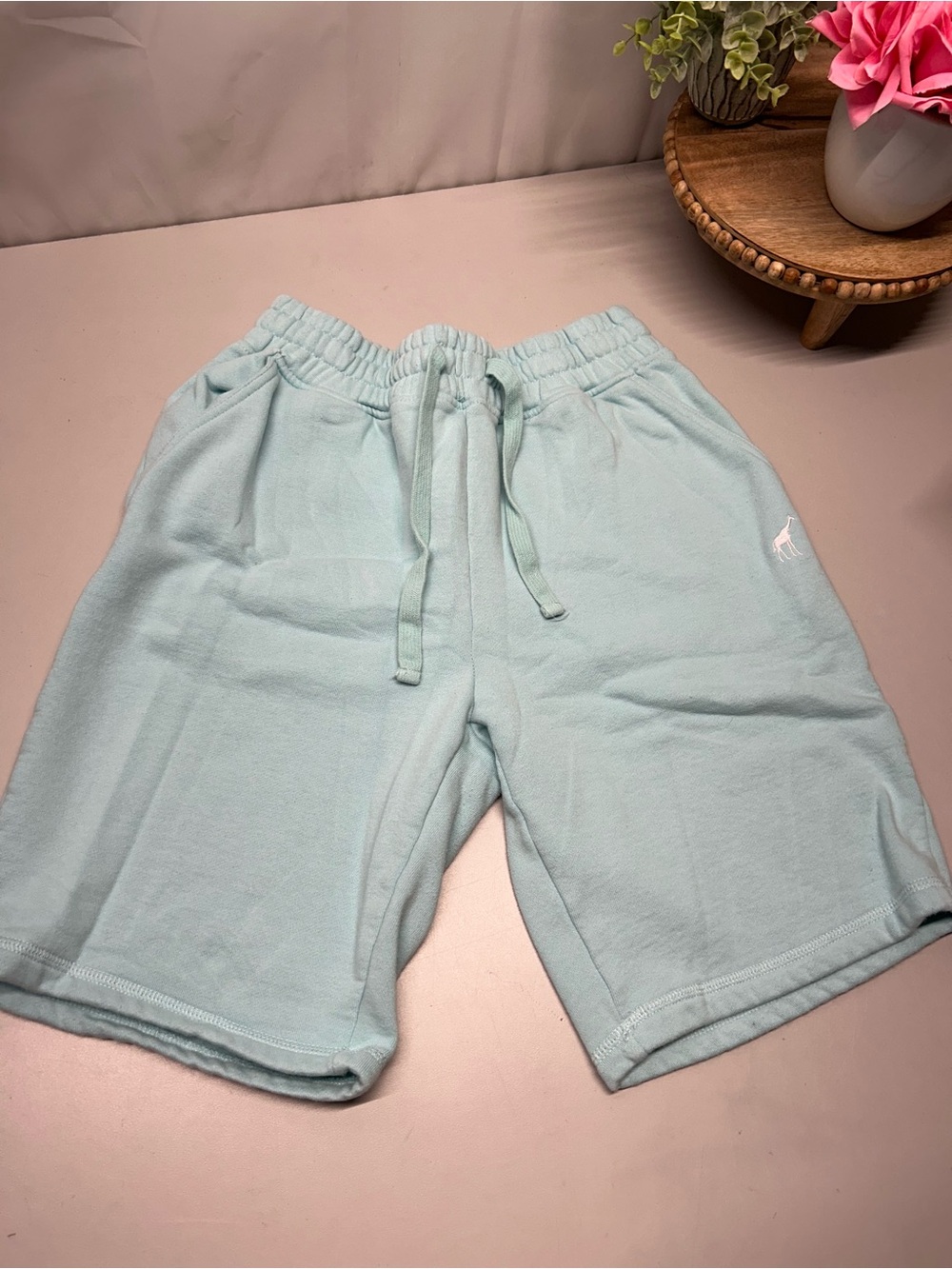 Lrg Light Mint Green Athletic Shorts